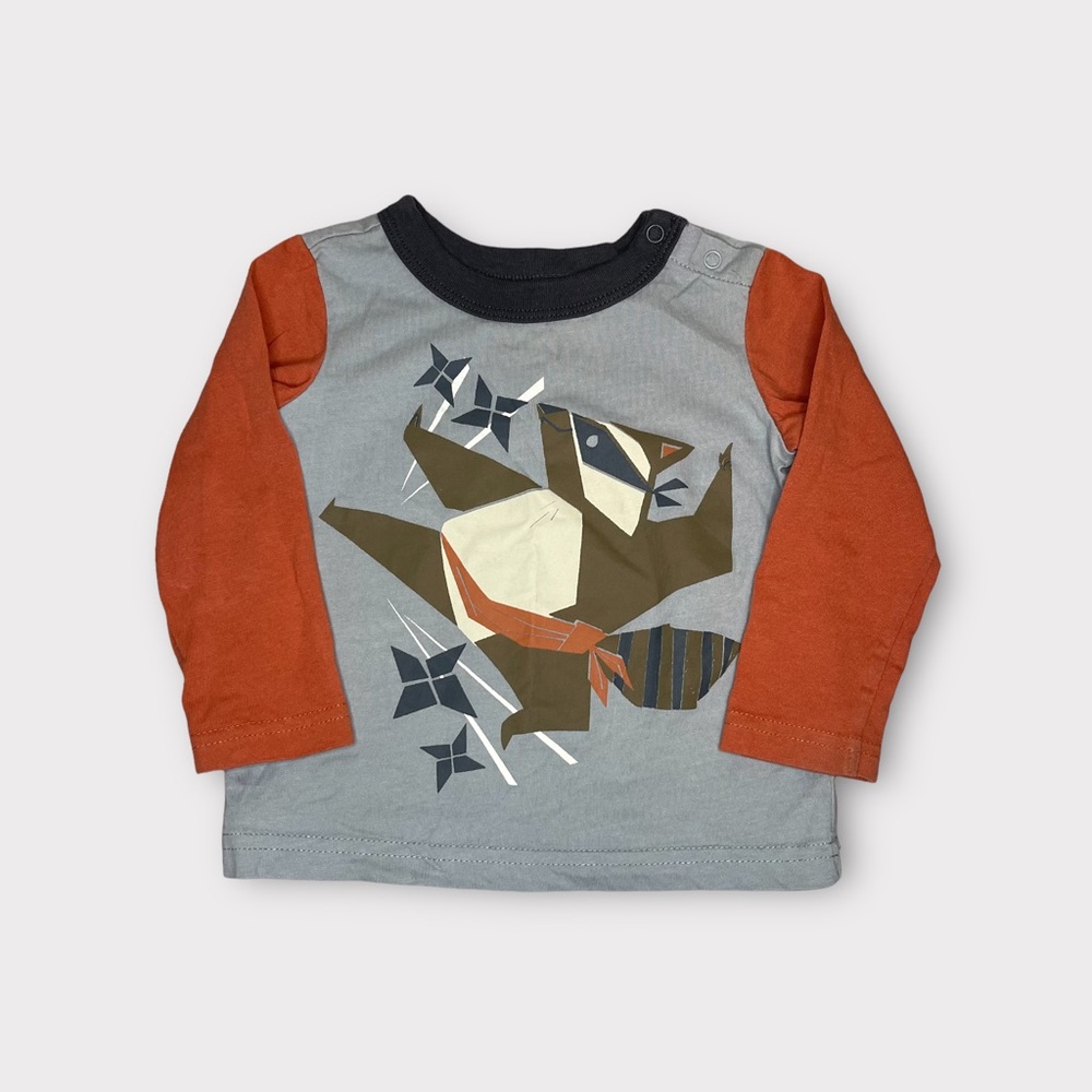 Tea Collection Raccoon Ninja Graphic Raglan Shirt